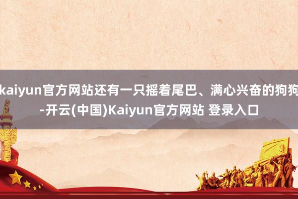 kaiyun官方网站还有一只摇着尾巴、满心兴奋的狗狗-开云(中国)Kaiyun官方网站 登录入口