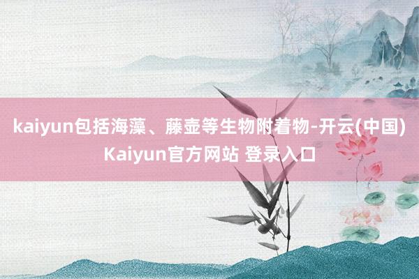 kaiyun包括海藻、藤壶等生物附着物-开云(中国)Kaiyun官方网站 登录入口